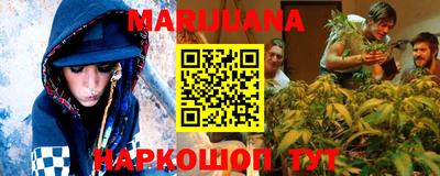 прущие грибы Канаш