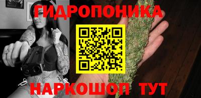 ГАЛЛЮЦИНОГЕННЫЕ ГРИБЫ Камышлов