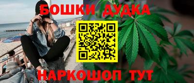 прущие грибы Канаш