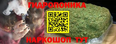 ГАЛЛЮЦИНОГЕННЫЕ ГРИБЫ Камышлов