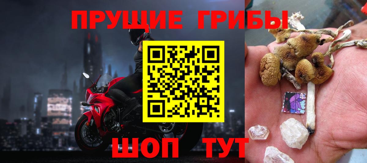 Галлюциногенные грибы Psilocybe  Псилоцибиновые грибы Magic Shrooms  Вход с VPN  Южноуральск 
