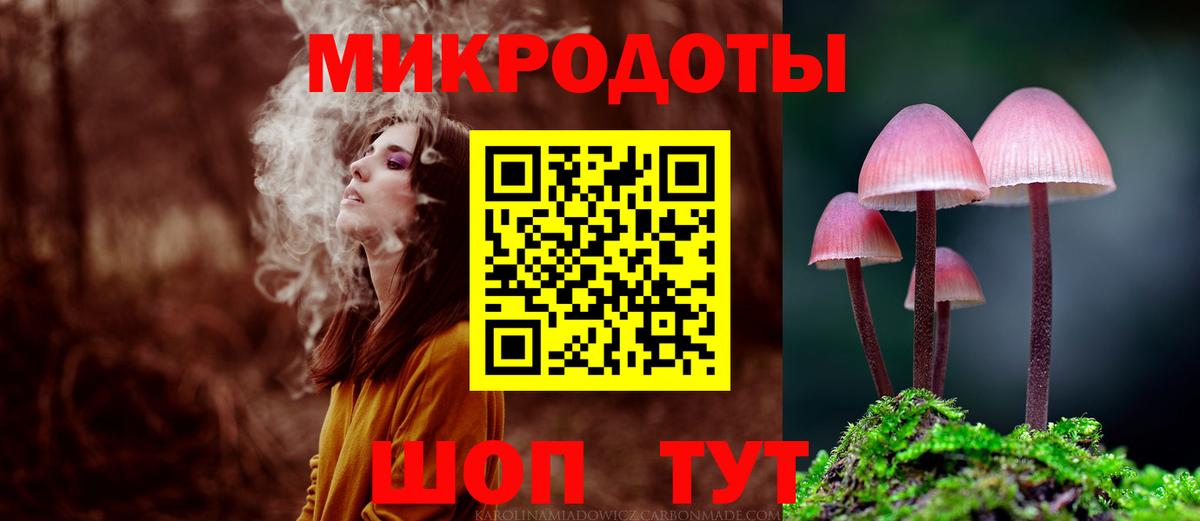 Галлюциногенные грибы Psilocybe Южноуральск